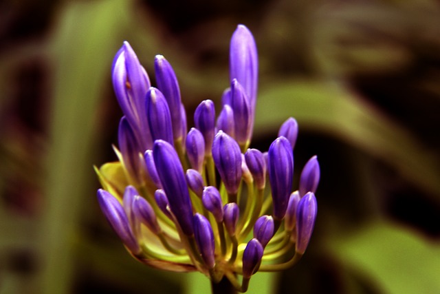 加克波：我们知道我们能扭转局面，最重要的是更衣室团结一致