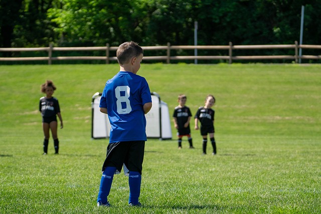 作往往能够 作往往能够