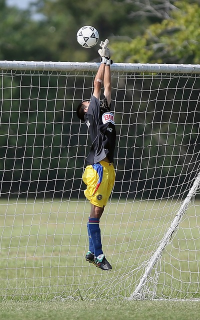 作为球迷寄 作为球迷寄