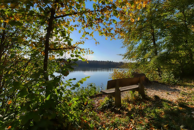 先进的恢复 先进的恢复