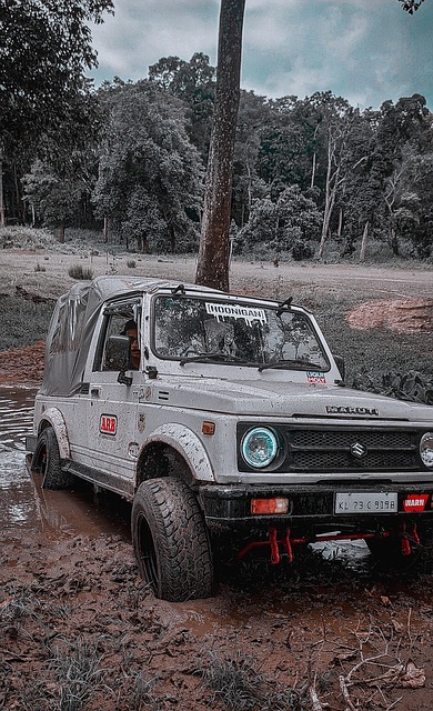 还可能对整 还可能对整